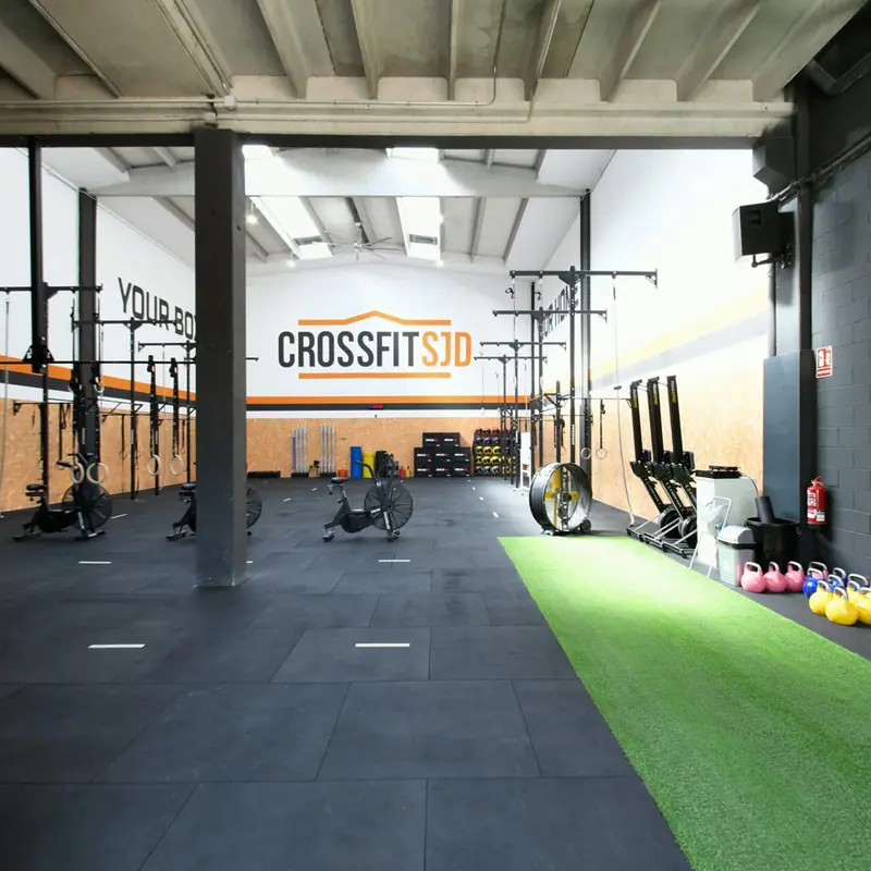 Sala del box de Sant Feliu de Llobregat amb gespa, rig i rem